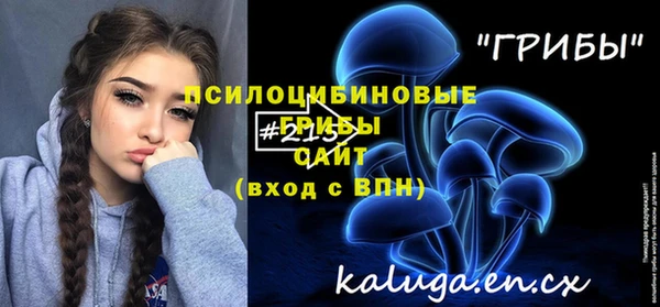 дурь Аркадак
